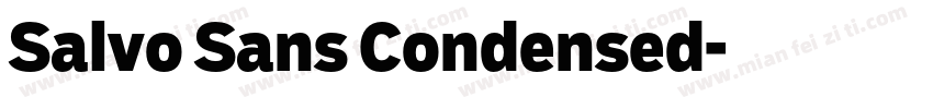 Salvo Sans Condensed字体转换